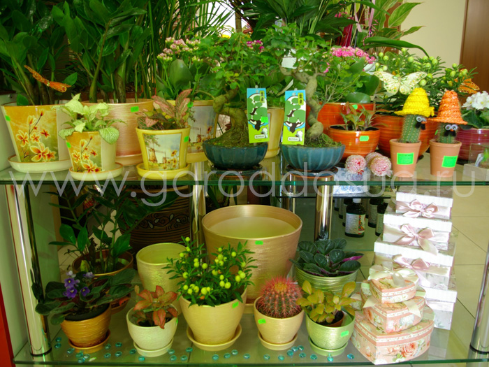 Магазин цветов «Sanata Flowers»
