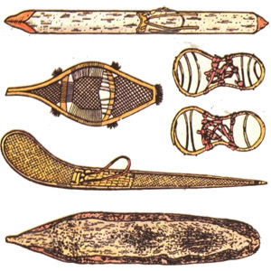 Развитие и изменение лыжФ