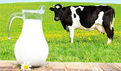 Купить сепаратор для молока в «Либерти Агро»