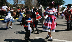 Чилийский национальный танец - куэка