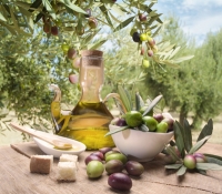 Оливковое масло для красоты и здоровья волос