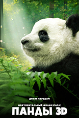 Панды 3D
