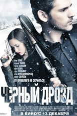 Черный дрозд