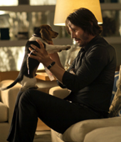 Любите ли вы Джона Уика?