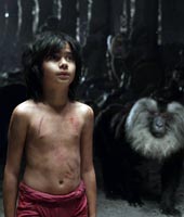 «Книга джунглей» выигрывает до «Первого мстителя» «Книга джунглей» выигрывает до «Первого мстителя»