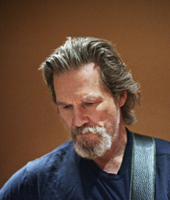 Глазами Бриджеса