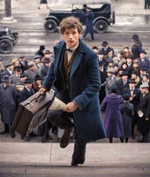 Продолжение спин-оффа «поттерианы» через 2 года Продолжение спин-оффа «поттерианы» через 2 года