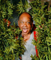 Старики-разбойники