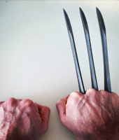 Когти на полку Когти на полку