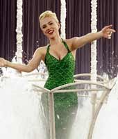 Панда-чемпион Панда-чемпион