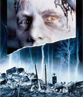 Перезахоронение домашних животных Перезахоронение домашних животных