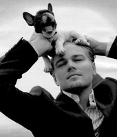 Вакансия для злодея Вакансия для злодея