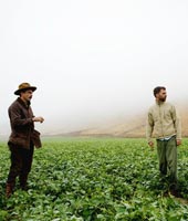 Томас Андерсон готовит кино с Дей-Льюисом Томас Андерсон готовит кино с Дей-Льюисом