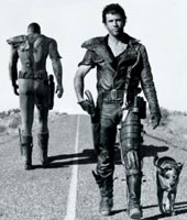 В песках Намибии В песках Намибии