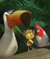 Птичий базар Птичий базар