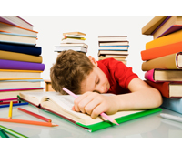 Российская история глазами школьников