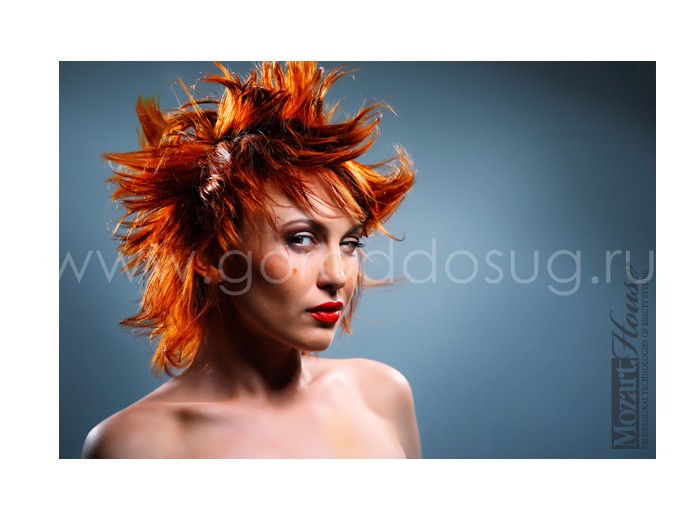 Академии стиля «Mozart House»