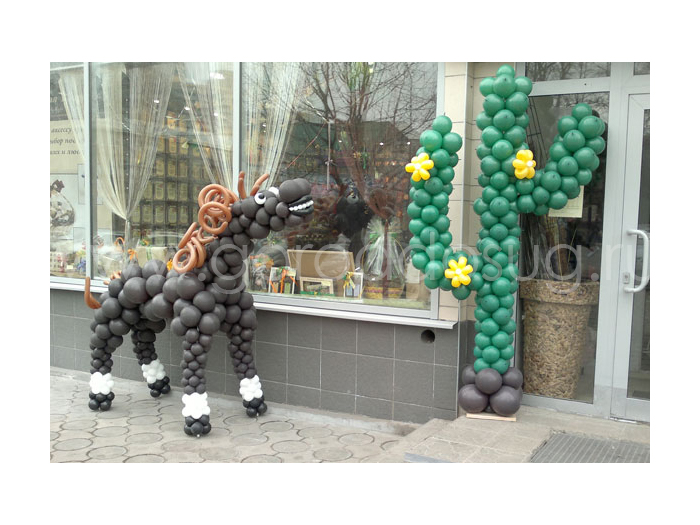 Студия шаров «ШАР ШАР»