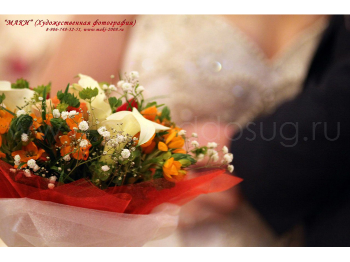 «МАКИ» фотографы Мытищи