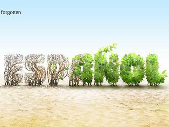 Языковой центр «In Tandem»