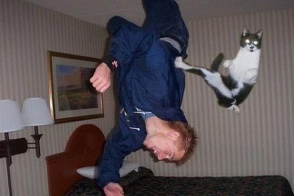 Искусство фотографии