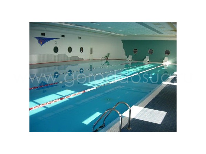 Клуб «Аллигатор»