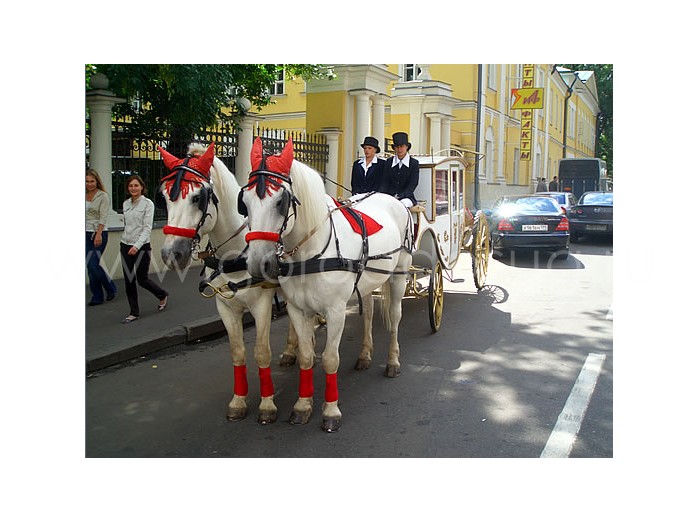 Конноспортивный клуб «Сириус»