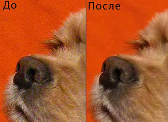 Удаление шума на фотографии