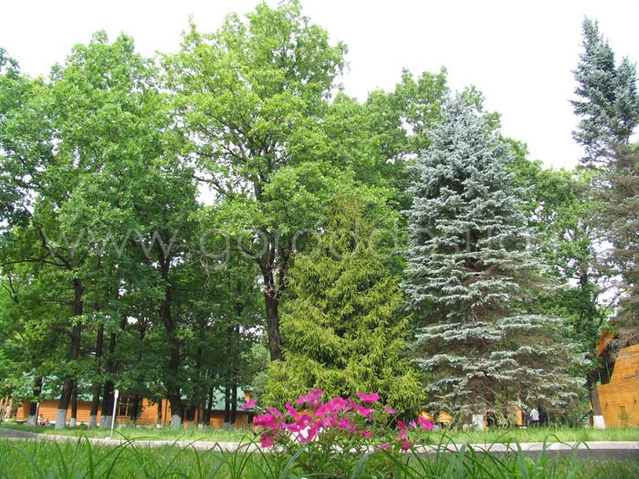 Загородный отель «Фиеста парк»