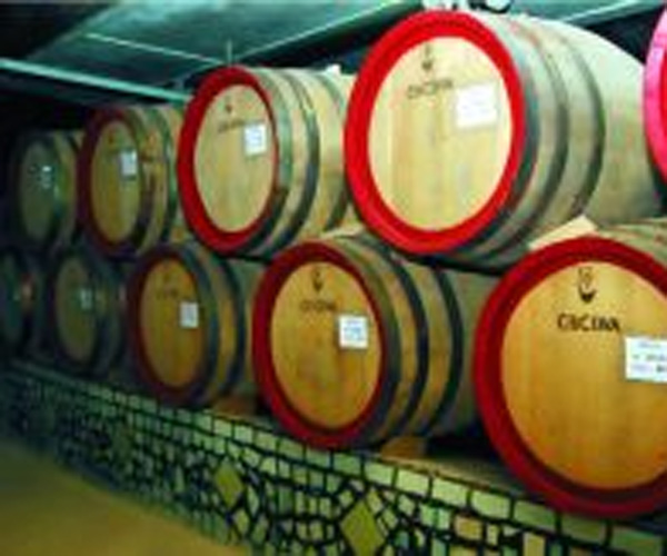 Секреты молдавских вин