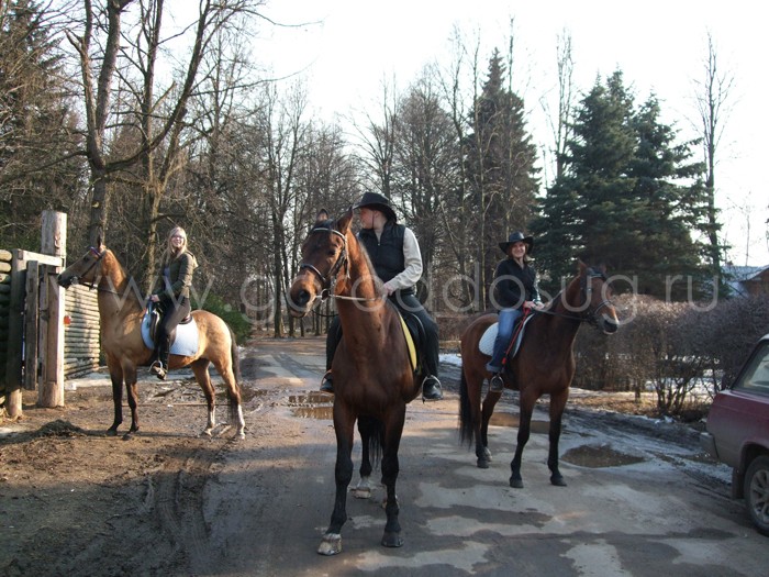 Конный Двор «Мытищи»
