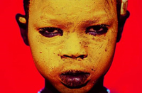 «Исчезающая Африка». Джанни Джансанти