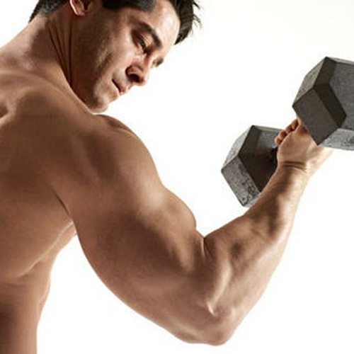 Спортивное питание по низким ценам от частных поставщиков