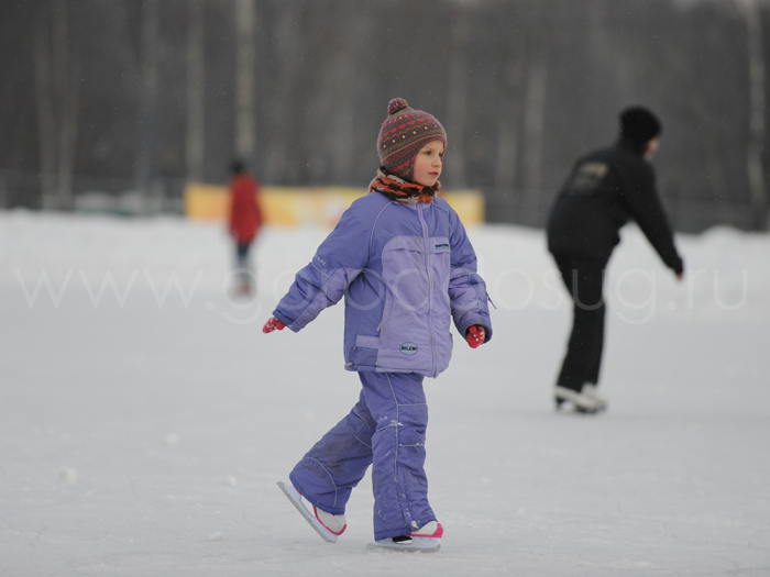 Семейный каток