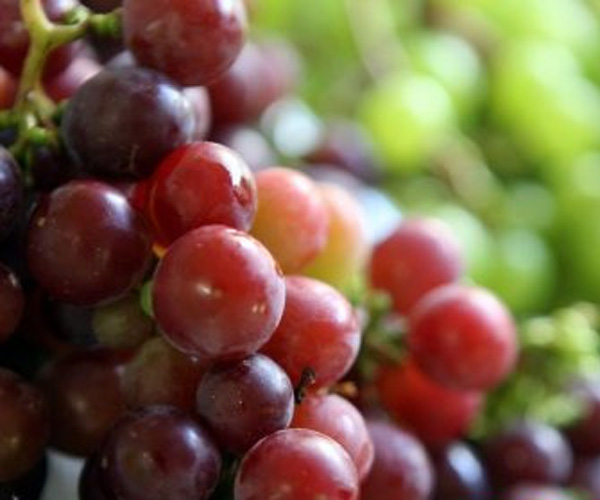 Секреты молдавских вин