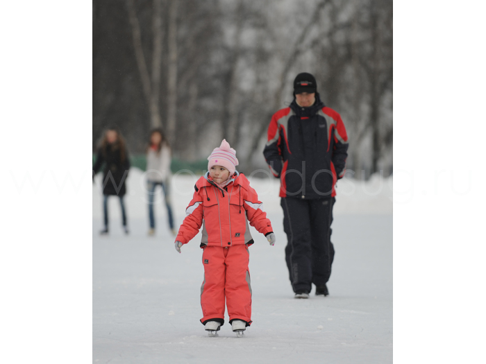 Семейный каток