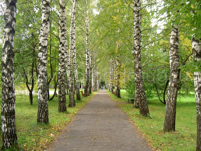 Санаторий «Березка»