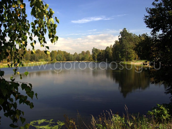 Санаторий «Зеленый городок»