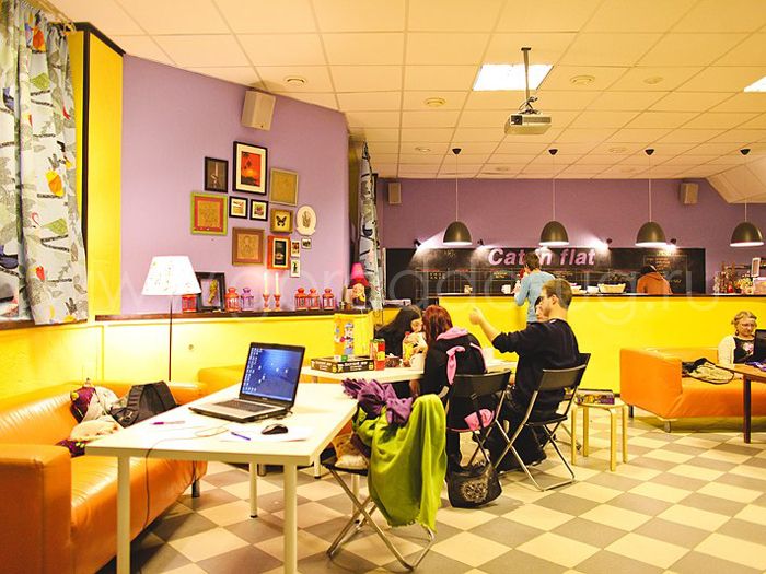 Антикафе «Cat-in-Flat»