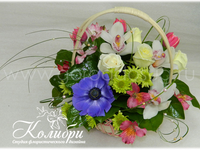 Студия «Колибри»