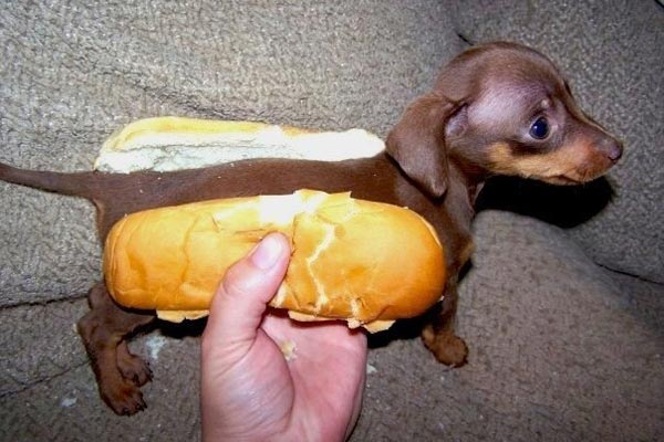 Искусство фотографии