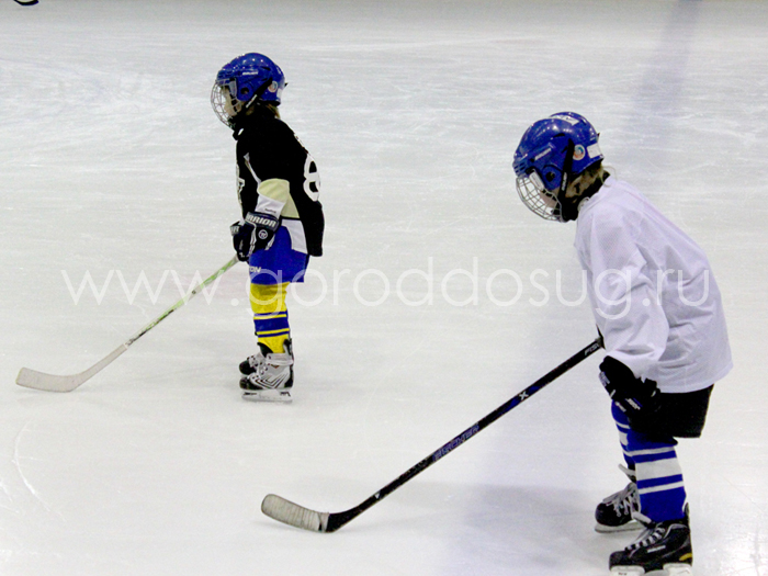 Мытищинская школа хоккея