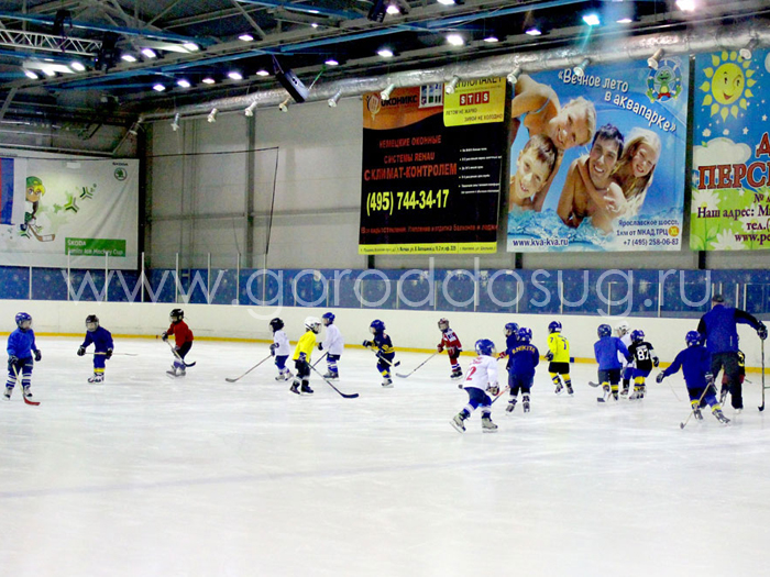 Мытищинская школа хоккея