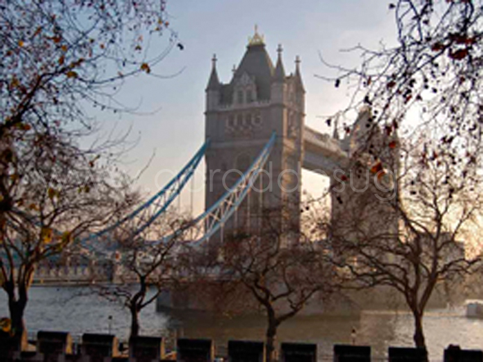 Языковой центр «Yes!»