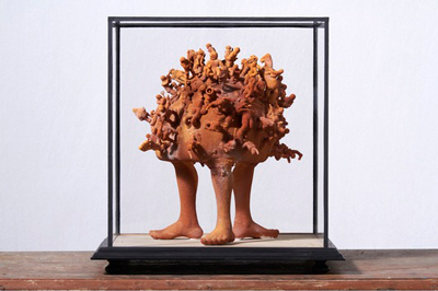 Кунсткамера Яна Шванкмайера