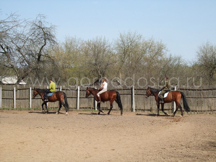 Конный Двор «Мытищи»
