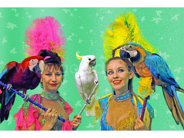 Агентство «Артель Ермак»