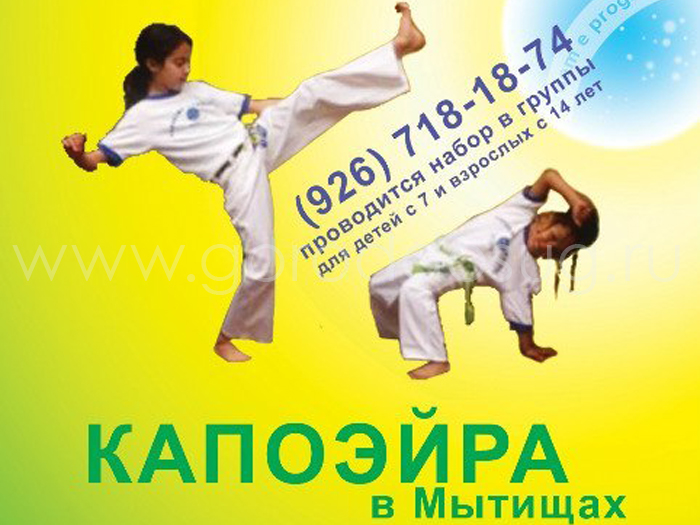 Капоэйра «Arte de gingar»