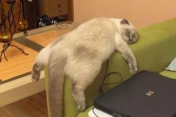 Искусство фотографии