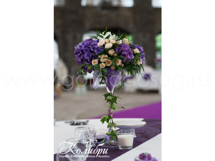 Студия «Колибри»